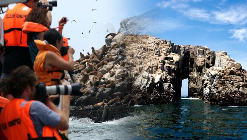 Palomino islands tour half day tour