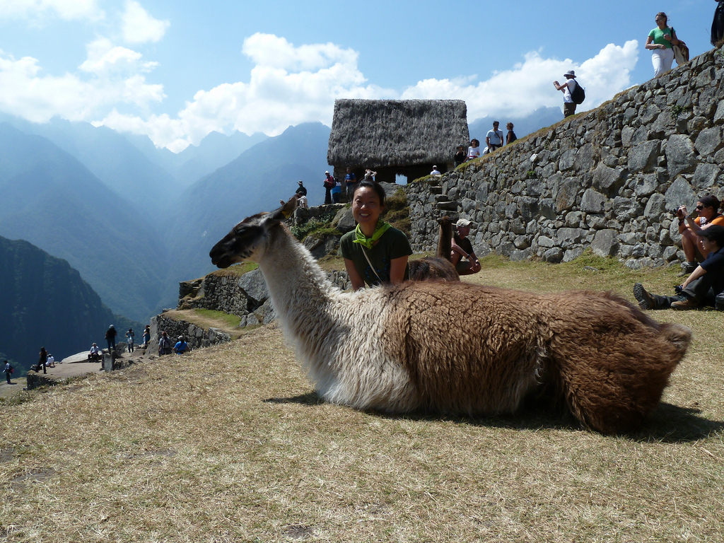 Why Travel to Machu Picchu?