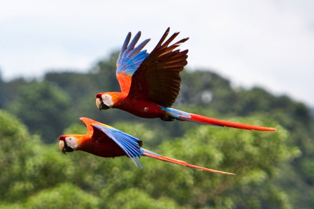 How to Plan Peru Holidays?