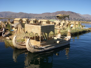 Reed-the basic material to build boats,houses and islands