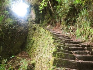 Short climb to the WiñayWayna ruins