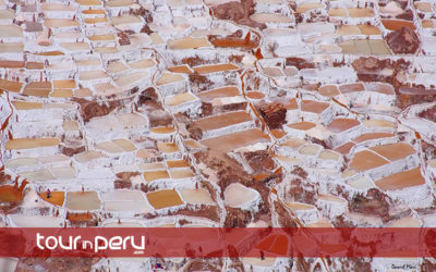 Maras and Moray Biking Tour – 1 day