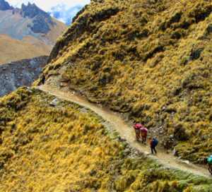 The best of my Salkantay Trek only with TOUR IN PERU