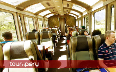 Machu Picchu Citadel in the Vistadome Train – 1 day tour