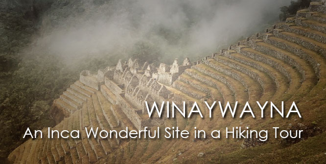 INCA TRAIL: WINAYWAYNA the Wonderful Site in a Hiking Tour in Peru
