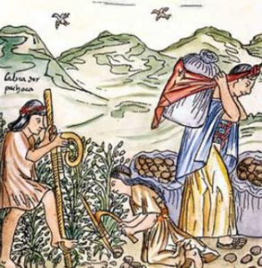 Gold but soil and food were the source of power in the Inca times
