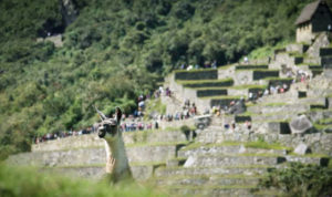 TOUR IN PERU offers the best tour for Machu Picchu and all Peruvian destinations