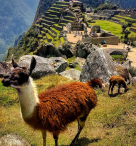 Machu Picchu in dry season and October