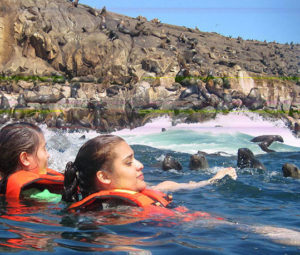 Palomino Island One day Tour in Lima