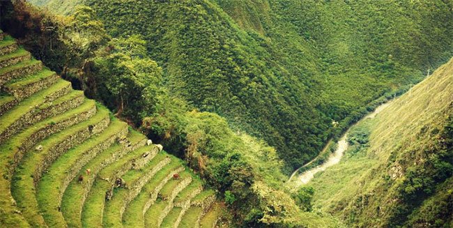 Winaywayna and the Inca Trail will be closed in February 2018