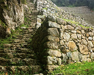 Visit the Inca Trail and Winaywayna from March 2018!