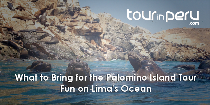 PALOMINO ISLAND TOUR – WHAT TO BRING for a magical time on the Lima ocean
