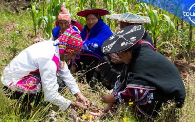 Discover the Power of Regenerative Tourism: Connect, Learn, and Transform with TOUR IN PERU