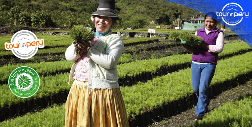 Eco-friendly Actions: Partnership With Pachamama Raymi Project