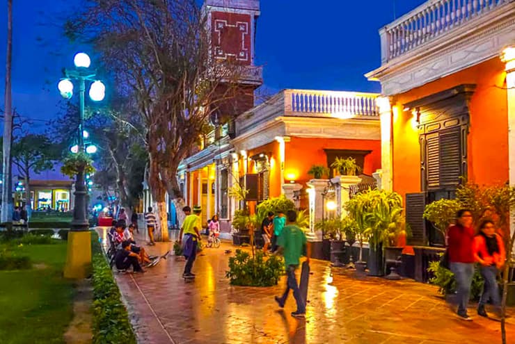 Palomino islands tour half day tour