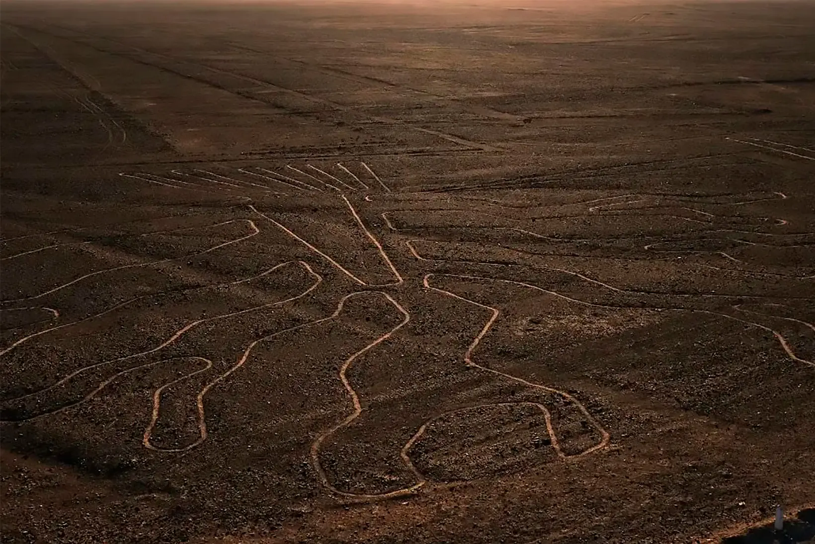 Soar Above the Nazca Lines in a Scenic Flight