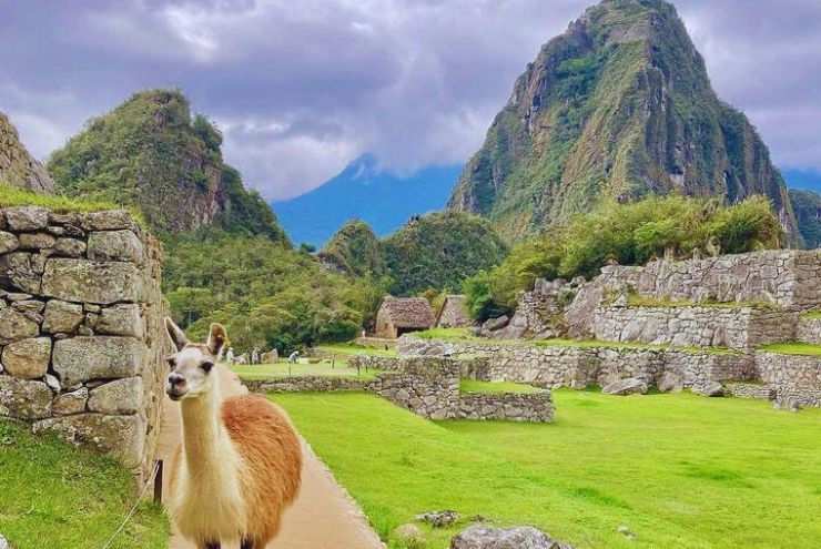 Citadel of Machupicchu